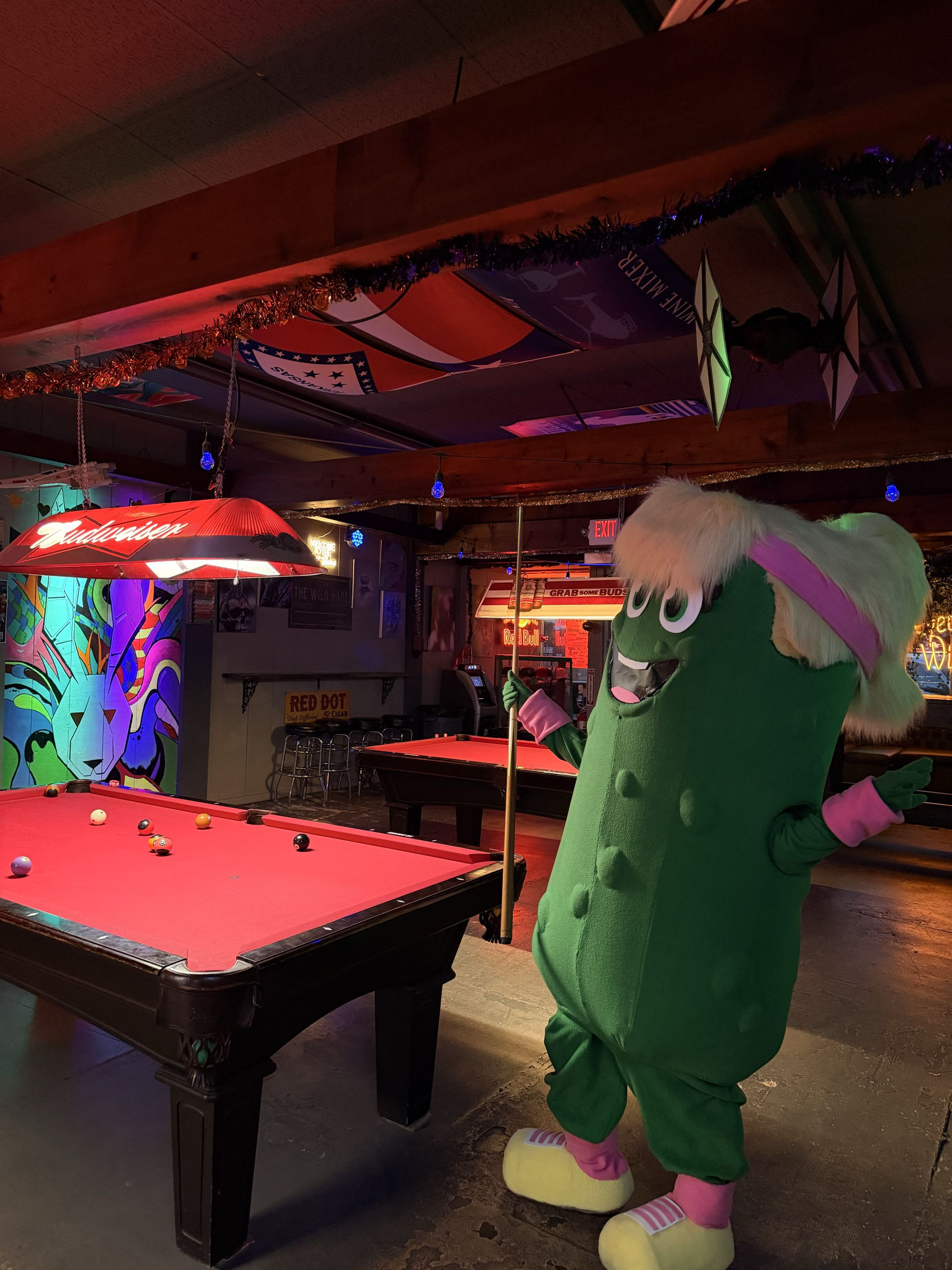Paddy the Pickle at The Wild Hare